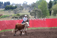 NimmitabelCampdraft2015_1332