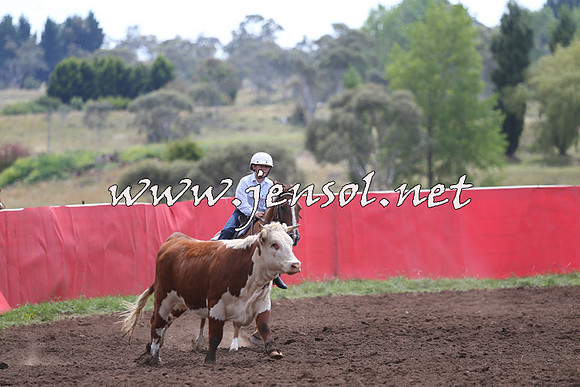 NimmitabelCampdraft2015_1332