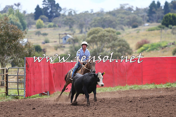 NimmitabelCampdraft2015_1396