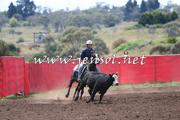 NimmitabelCampdraft2015_1477