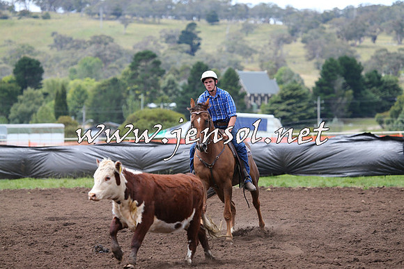NimmitabelCampdraft2015_1423