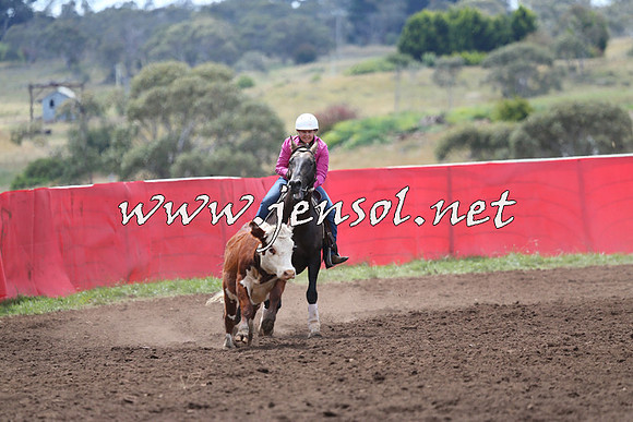 NimmitabelCampdraft2015_1452