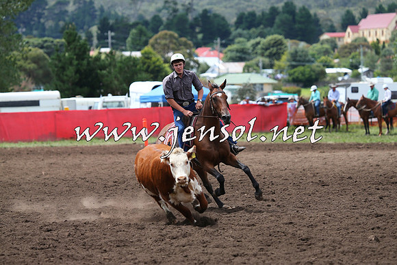 NimmitabelCampdraft2015_1445