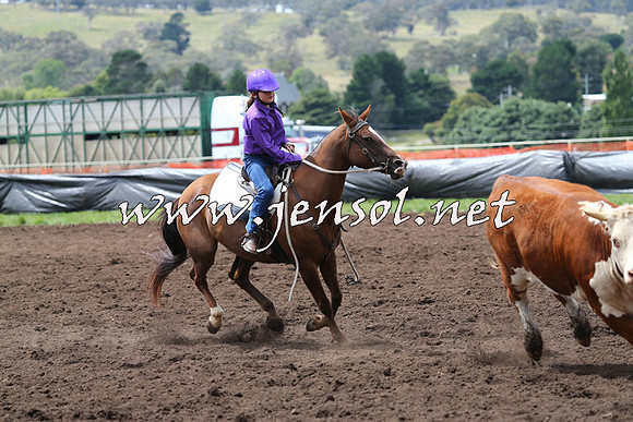 NimmitabelCampdraft2015_1393