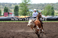 NimmitabelCampdraft2015_1339