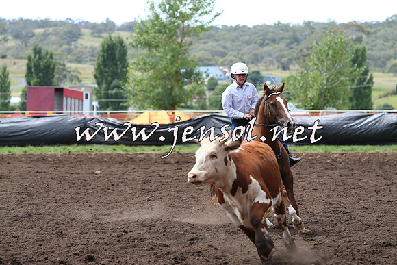 NimmitabelCampdraft2015_1339