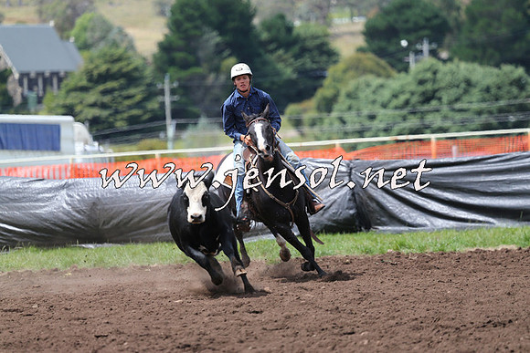 NimmitabelCampdraft2015_1482