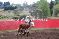 NimmitabelCampdraft2015_1331