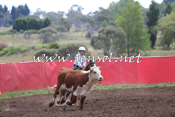 NimmitabelCampdraft2015_1331