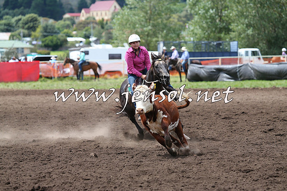 NimmitabelCampdraft2015_1459