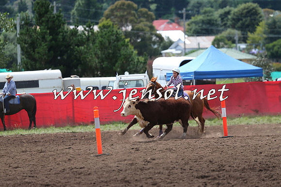 NimmitabelCampdraft2015_1373