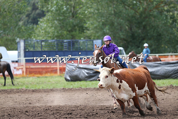 NimmitabelCampdraft2015_1386