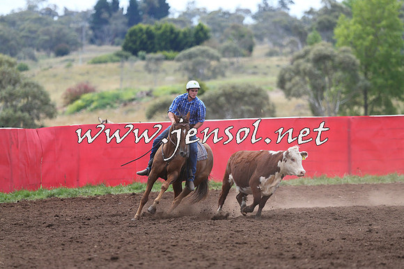 NimmitabelCampdraft2015_1421