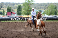 NimmitabelCampdraft2015_1340