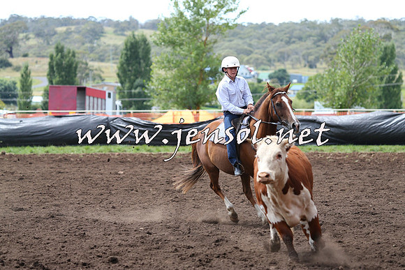 NimmitabelCampdraft2015_1340