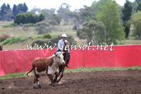 NimmitabelCampdraft2015_1333