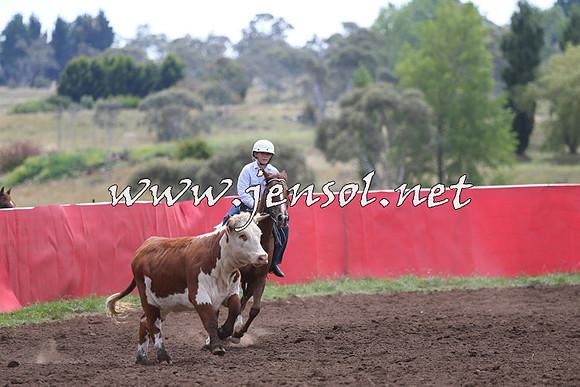 NimmitabelCampdraft2015_1333