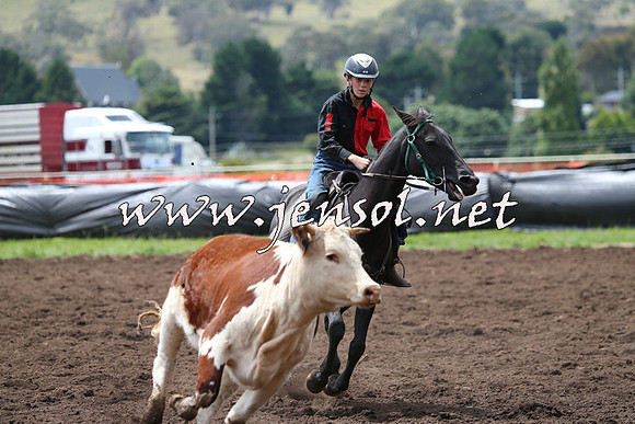 NimmitabelCampdraft2015_1357