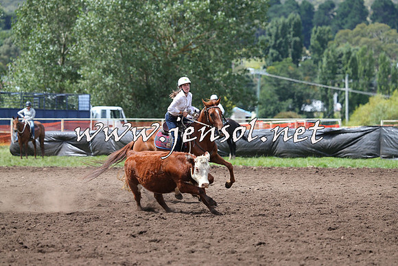 NimmitabelCampdraft2015_1473