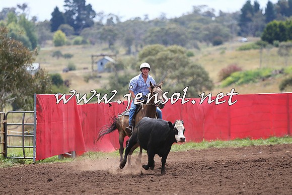 NimmitabelCampdraft2015_1395