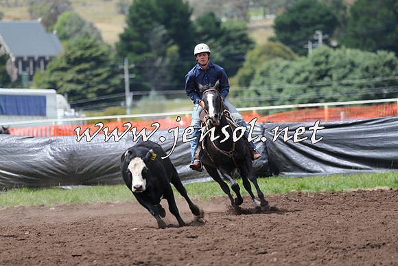 NimmitabelCampdraft2015_1480
