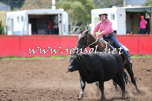 NimmitabelCampdraft2015_1464