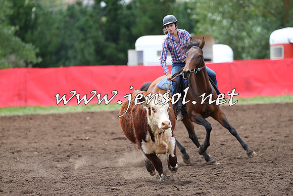 NimmitabelCampdraft2015_1408