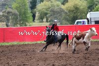 NimmitabelCampdraft2015_1346