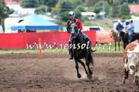 NimmitabelCampdraft2015_1348