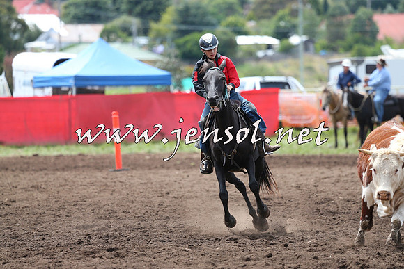NimmitabelCampdraft2015_1348