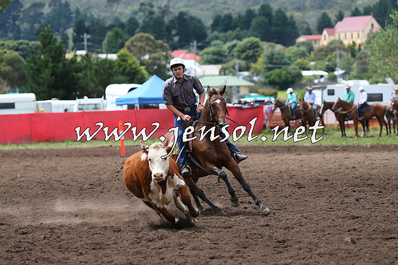 NimmitabelCampdraft2015_1444