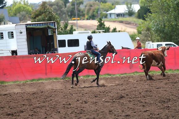 NimmitabelCampdraft2015_1380
