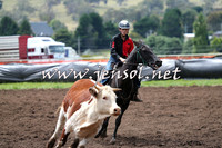 NimmitabelCampdraft2015_1358