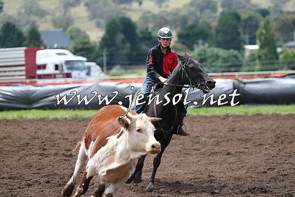 NimmitabelCampdraft2015_1358