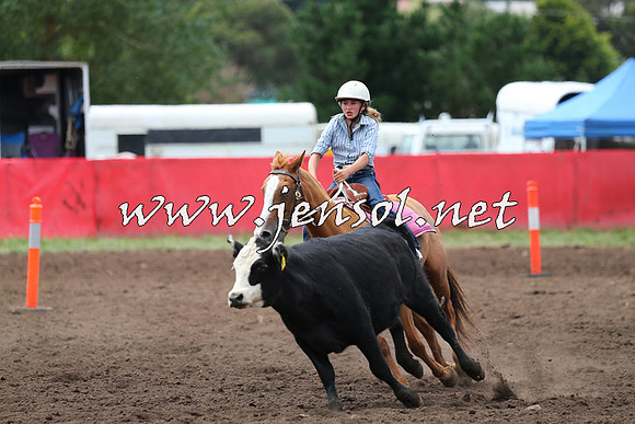 NimmitabelCampdraft2015_1414