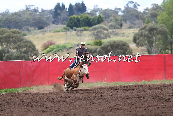 NimmitabelCampdraft2015_1437