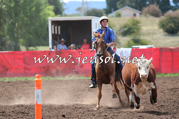 NimmitabelCampdraft2015_1467