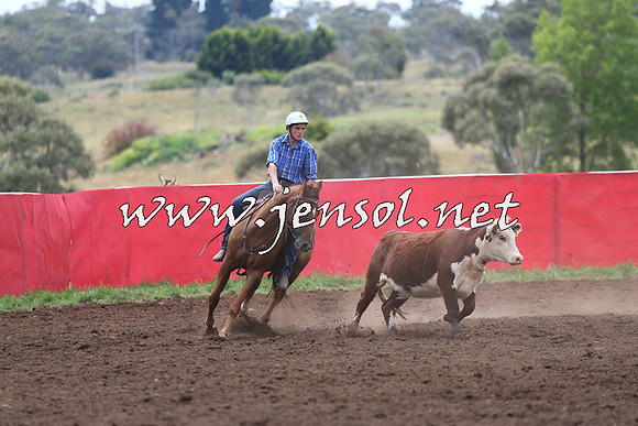 NimmitabelCampdraft2015_1420