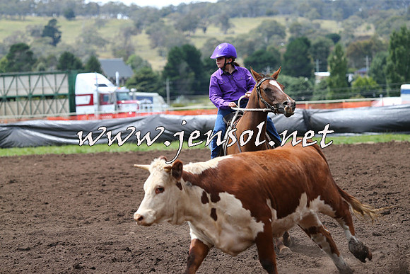 NimmitabelCampdraft2015_1389