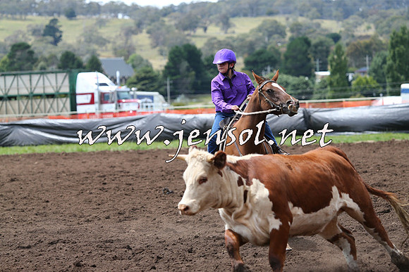 NimmitabelCampdraft2015_1388