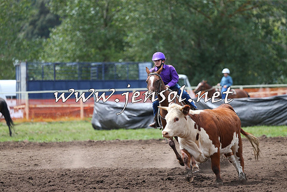 NimmitabelCampdraft2015_1385