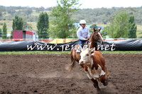 NimmitabelCampdraft2015_1341