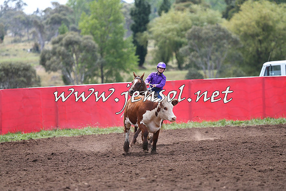 NimmitabelCampdraft2015_1383