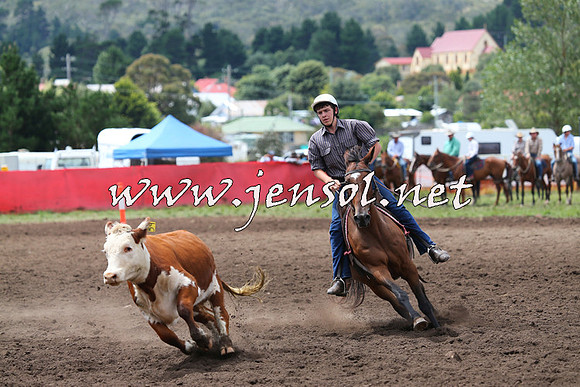 NimmitabelCampdraft2015_1440