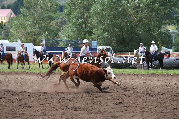 NimmitabelCampdraft2015_1474