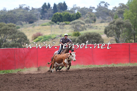 NimmitabelCampdraft2015_1438