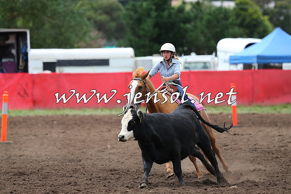 NimmitabelCampdraft2015_1416