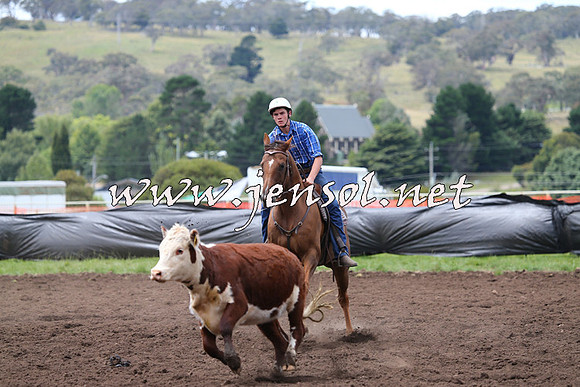 NimmitabelCampdraft2015_1424