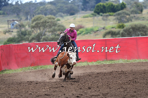 NimmitabelCampdraft2015_1448