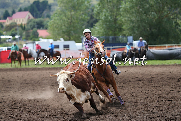 NimmitabelCampdraft2015_1372